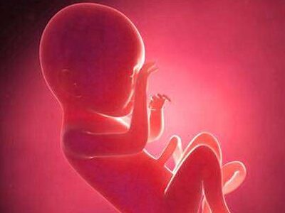 Recurrent pregnancy loss care and women’s reproductive health support